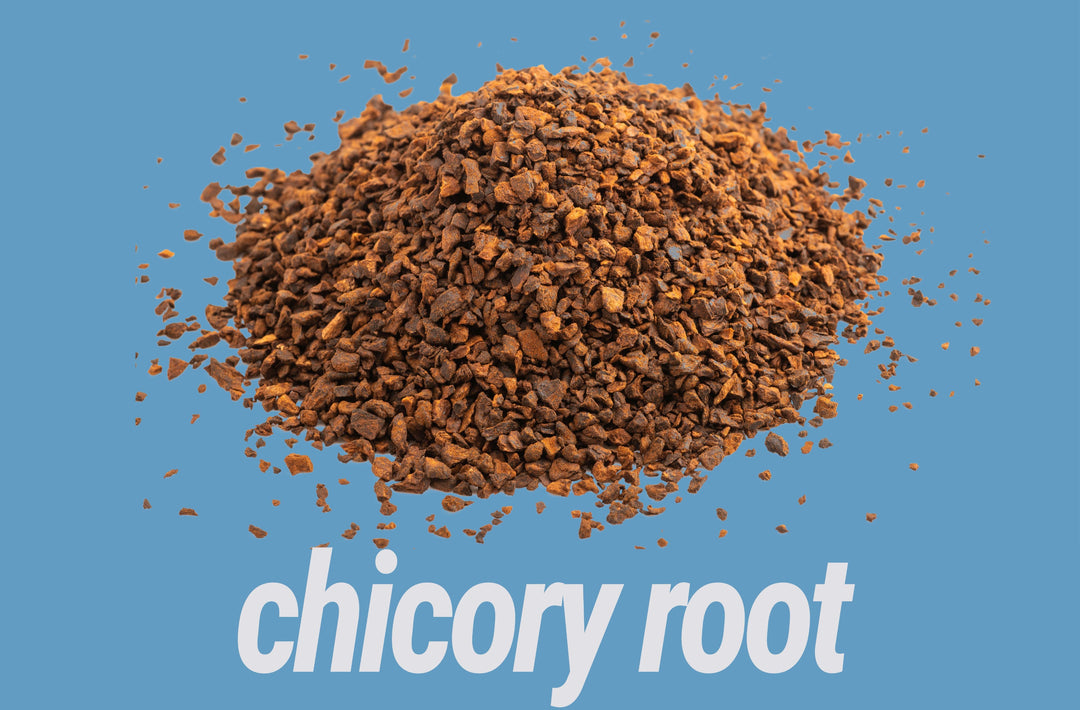 chicory root