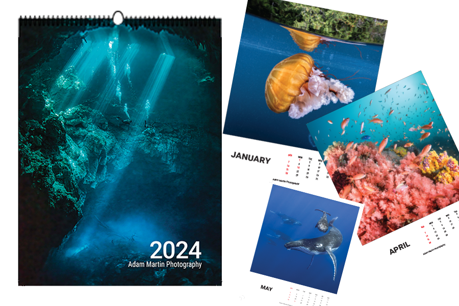 2024 Calendar Fundraiser